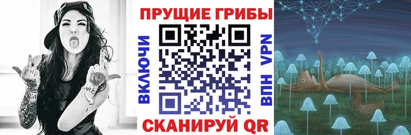 Купить где  Котлас  Галлюциногенные грибы прущие грибы 